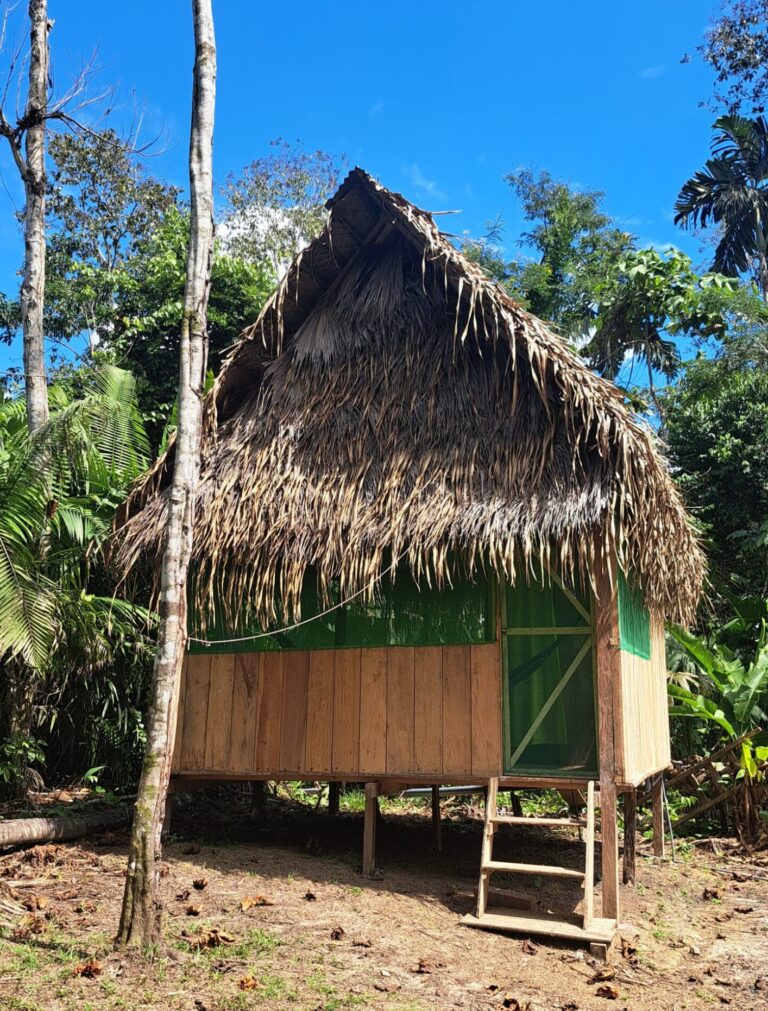 Tambo 5 from our center