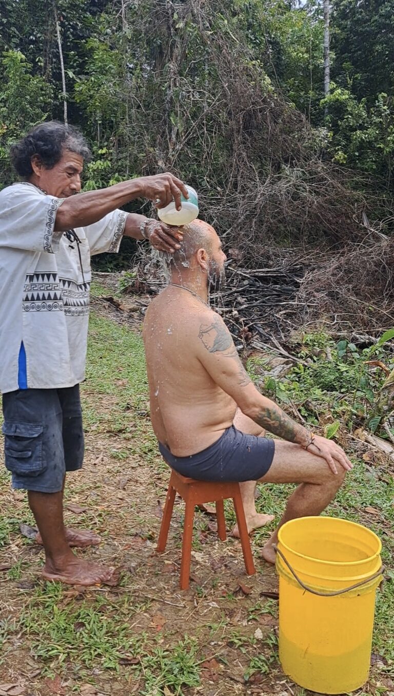 One of our shamanic treaments: Plant Bath