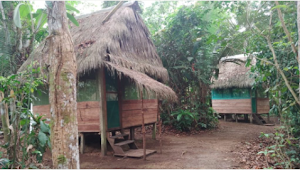 Yachay Wasi Ayahuasca Center place picture